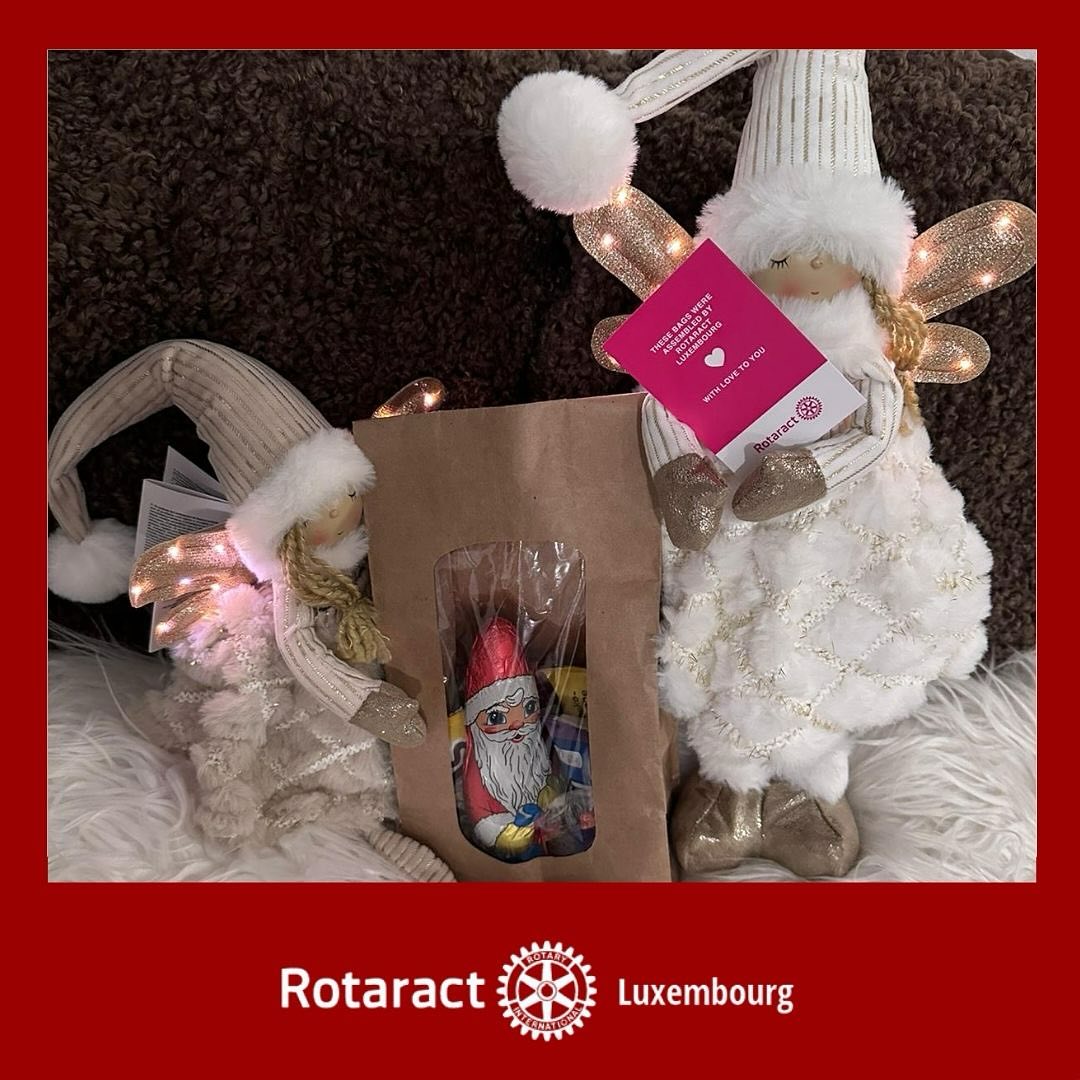 rotaractluxembourg_1731918416_3503908092384774606_3979254373